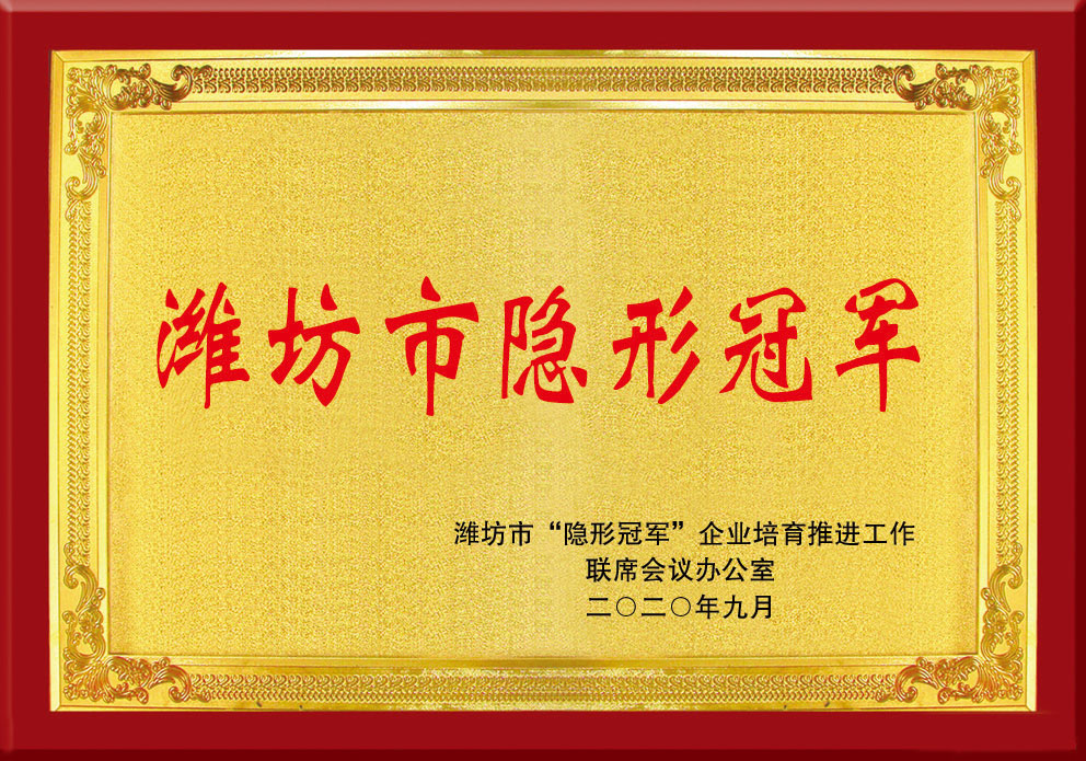 濰坊市(shi)隐形冠(guàn)軍